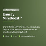 Energy MiniBoost™