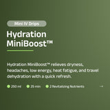 Hydration MiniBoost™
