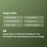 Hydration MiniBoost™