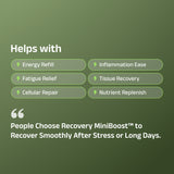 Recovery MiniBoost™